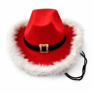 Cowboy Hat
